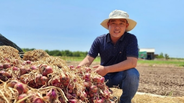 Trung Quốc tìm kiếm nông sản Sóc Trăng