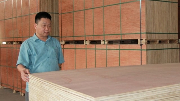 Ngành chế biến gỗ xuất khẩu hồi sinh