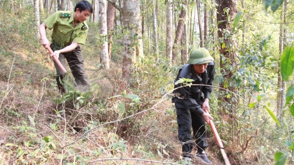 Gần 6.400 hộ dân huyện Trạm Tấu ký cam kết bảo vệ rừng