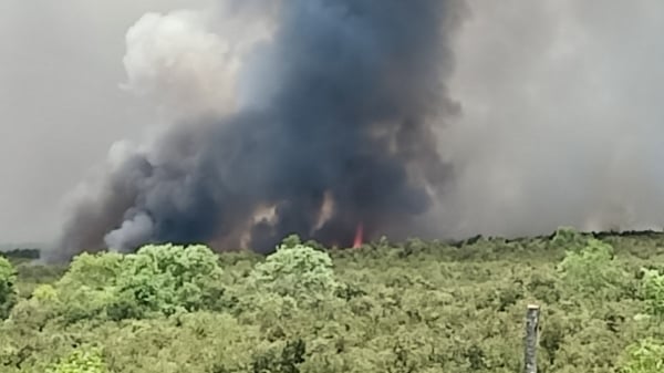 Cháy rừng tràm diện tích 400 ha