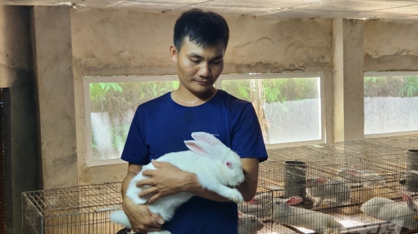 Trang trại thỏ 3.000 con cho lợi nhuận 20 triệu đồng/tháng