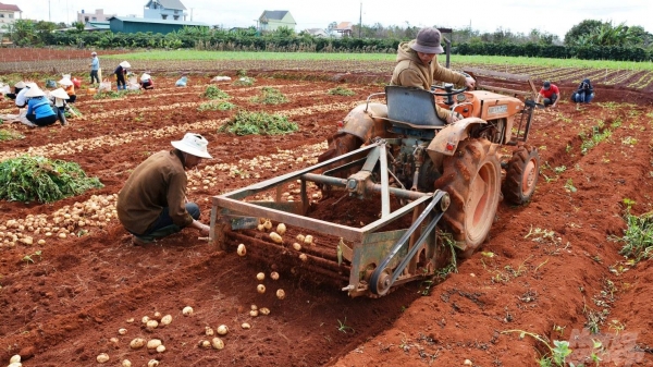 Thứ trưởng Công thương: Việt Nam nhập khẩu gần 70% máy móc phục vụ nông nghiệp