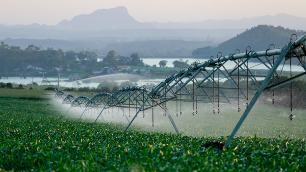 Dòng chảy xanh, trang trại sạch: Sử dụng hiệu quả tài nguyên nước tại trang trại TH
