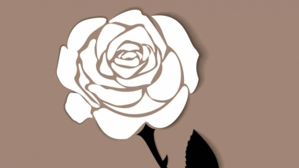 Mùa Vu Lan và niềm riêng cài trên áo một bông hồng trắng