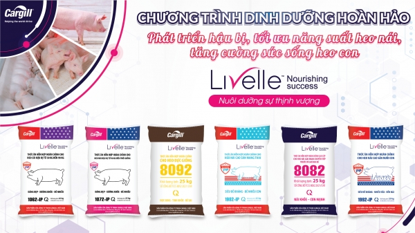Livelle 8082 – Giải pháp dinh dưỡng tiên phong dành cho heo nái của Cargill