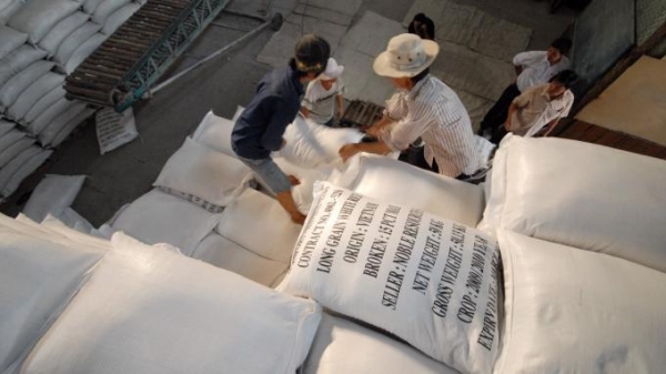 Phó Thủ tướng yêu cầu báo cáo việc mua dự trữ lương thực, xuất khẩu gạo
