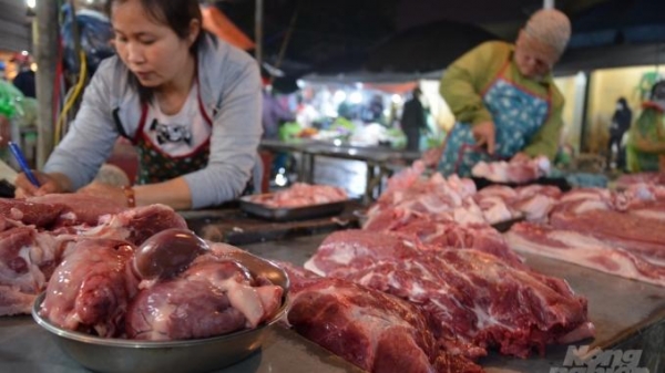 Hơn 54% mẫu thịt lợn, gà tại Hà Nội, Hà Nam ô nhiễm vi sinh vật