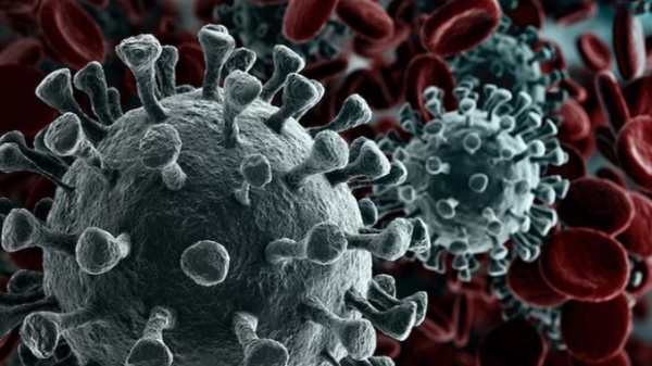 Bị phạt vì thông báo virus Corona biến thể mới có tính chất giống virus HIV