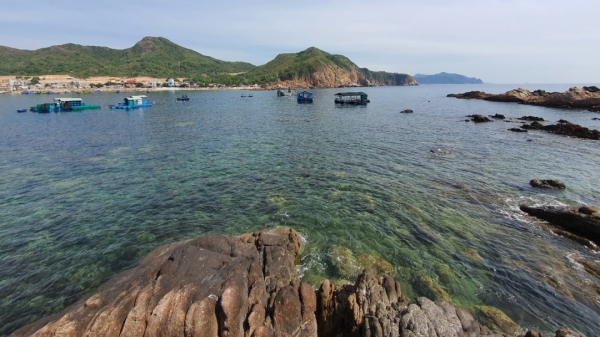 Tổ chức cộng đồng bảo vệ nguồn lợi thủy sản xã Nhơn Hải