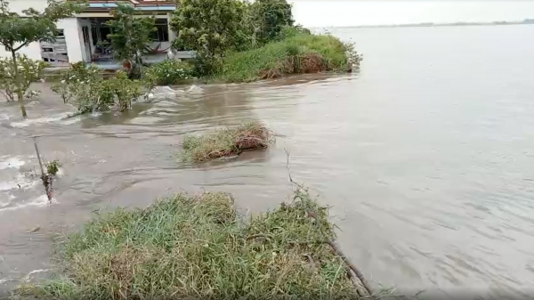 Cồn Thanh Long ngập lụt giữa mùa khô, hơn 10ha đất lở xuống sông