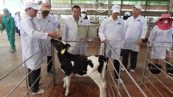 Tây Ninh mời gọi doanh nghiệp châu Âu rót vốn vào nông nghiệp