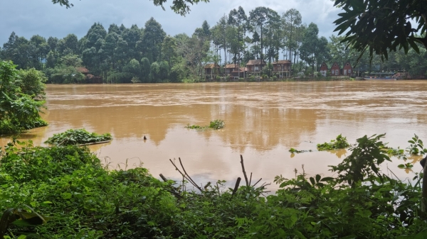 Lũ sông Đồng Nai vượt báo động 3, 38 lồng bè bị cuốn trôi