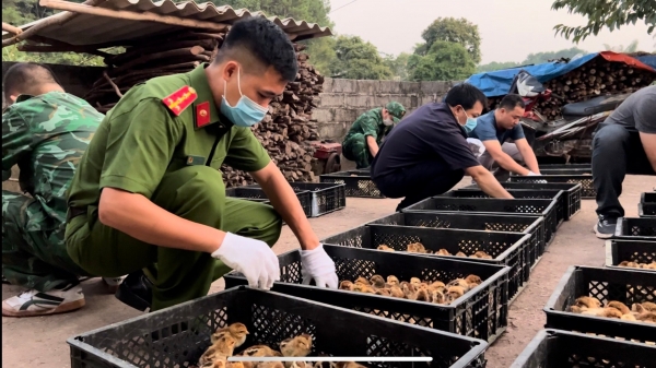 Ngăn chặn con giống nhập lậu qua đường biên giới vào Việt Nam