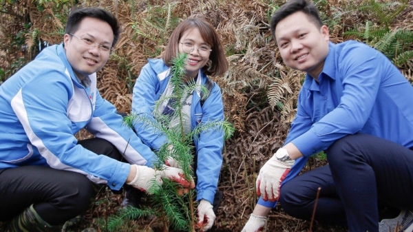 Đoàn Thanh niên Bộ NN-PTTNT với  ‘Triệu cây xanh - Vì một Việt Nam xanh’
