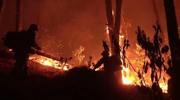 Hơn nghìn người trắng đêm dập cháy rừng ở Nghệ An