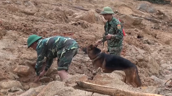 Bộ đội Biên phòng dùng chó nghiệp vụ tìm kiếm các nạn nhân