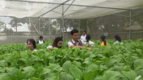 Học sinh Dân tộc nội trú tự trồng rau sạch để cải thiện bữa ăn