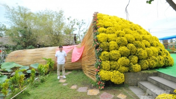 Bó hoa lớn nhất Việt Nam kết từ cúc mâm xôi và xương rồng
