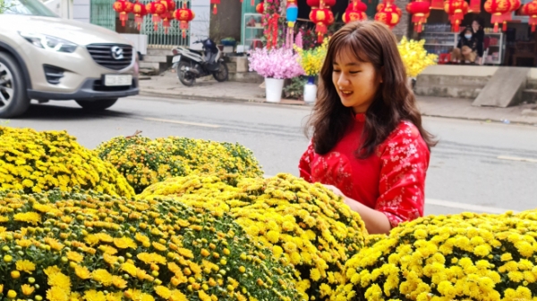 Người dân Tuyên Quang ra phố mua đào, quất hạ giá