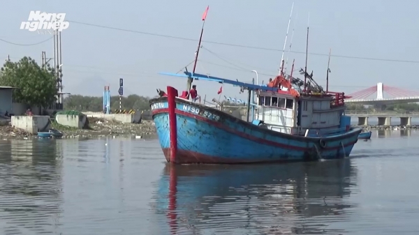 Ninh Thuận gặp từng chủ tàu cá tuyên truyền về luật thủy sản