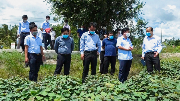 Bộ trưởng Lê Minh Hoan kiểm tra tình hình sản xuất, tiêu thụ khoai lang