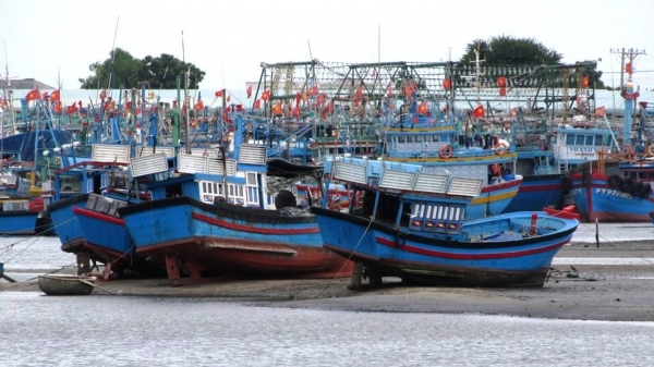 Nâng cấp cảng cá đủ cho 1.200 tàu công suất lớn neo đậu