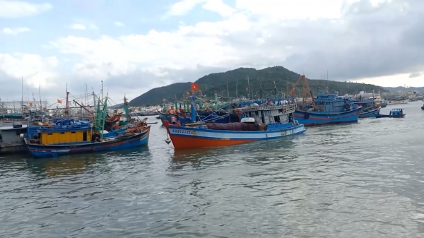 Hàng trăm tàu cá ra khơi bám biển trong dịp Tết