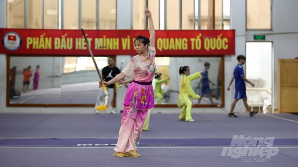 Wushu Việt Nam luyện 'săn vàng' SEA Games 31