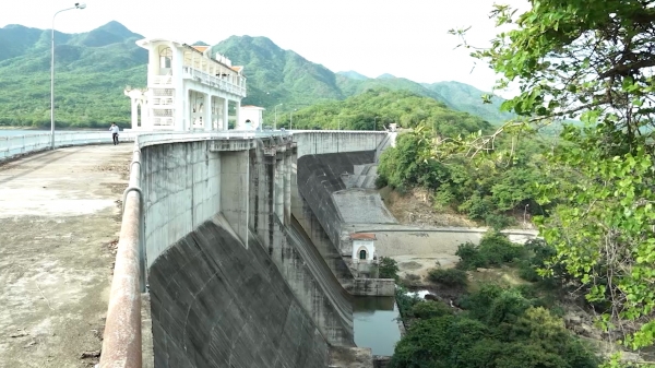 Ninh Thuận đảm bảo nước tưới cho vụ hè thu