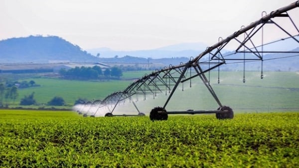 TH true MILK: Nông nghiệp ứng dụng công nghệ cao ở vùng đất nắng gió