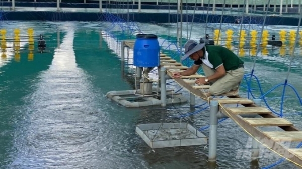 Ứng dụng thiết bị hiện đại vào nuôi trồng thủy sản