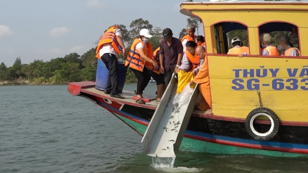 Tăng cường tái tạo nguồn lợi thủy sản cho lưu vực sông Sài Gòn