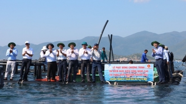 Khánh Hòa thí điểm nuôi biển bằng lồng HDPE trên vùng biển hở