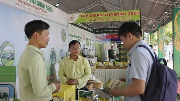 ThaiBinh Seed mang đến Festival 10 giống lúa và 4 sản phẩm gạo