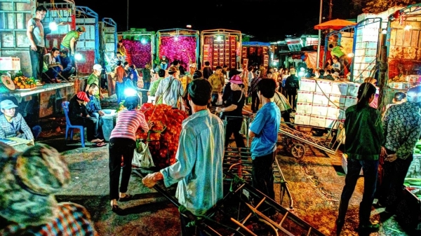 Chợ Long Biên hối hả những ngày gần Tết