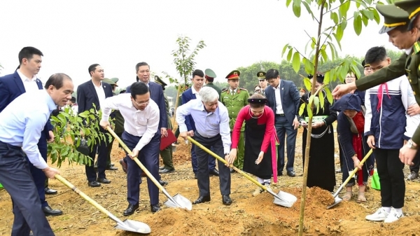 Chủ tịch nước Võ Văn Thưởng phát động Tết trồng cây