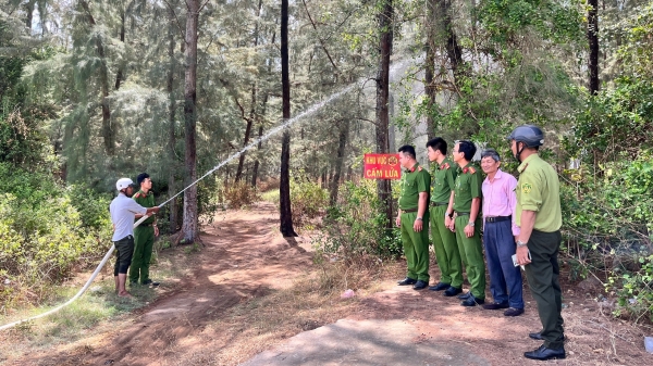 Hơn 400ha rừng phi lao có nguy cơ cháy trong mùa khô