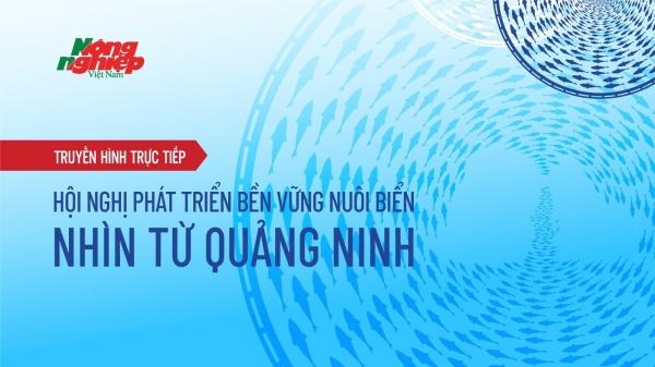 Toàn cảnh Hội nghị Phát triển bền vững nuôi biển - Nhìn từ Quảng Ninh