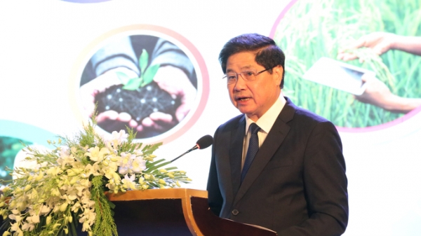 Việt Nam hướng đến nông nghiệp sinh thái, giảm phát thải và phát triển bền vững
