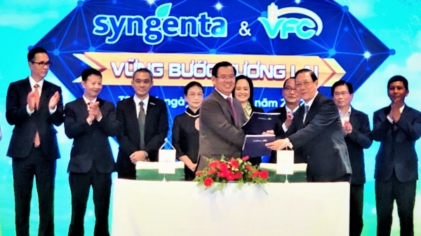 Syngenta Việt Nam và VFC ký kết thỏa thuận hợp tác chiến lược