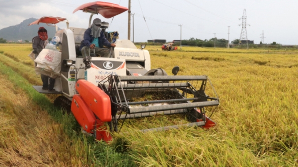 Một năm sản xuất lúa thắng lợi trong điều kiện thời tiết khắc nghiệt