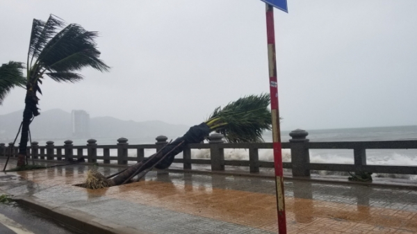 Bão số 12 đổ bộ vào Phú Yên, Khánh Hòa gây thiệt hại ban đầu