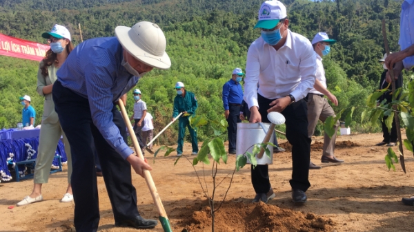Khánh Hòa phát động 'Tết trồng cây' và Chương trình trồng mới 1 tỷ cây xanh