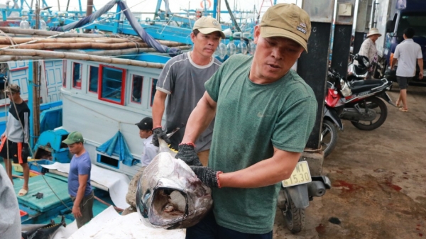 Khánh Hòa không còn tàu cá vi phạm vùng biển nước ngoài
