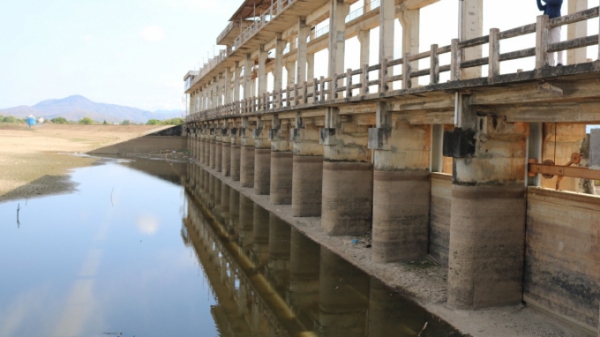 Bình Thuận tăng cường phòng, chống hạn hán, thiếu nước trong mùa khô