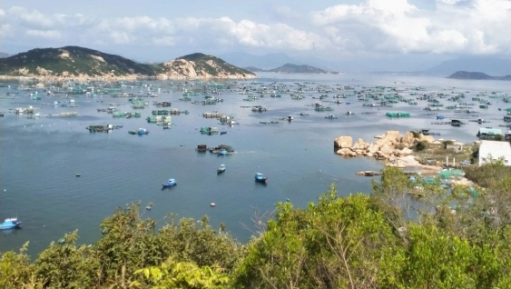 Khánh Hòa không tổ chức hoạt động du lịch 2 đảo Bình Ba, Bình Hưng