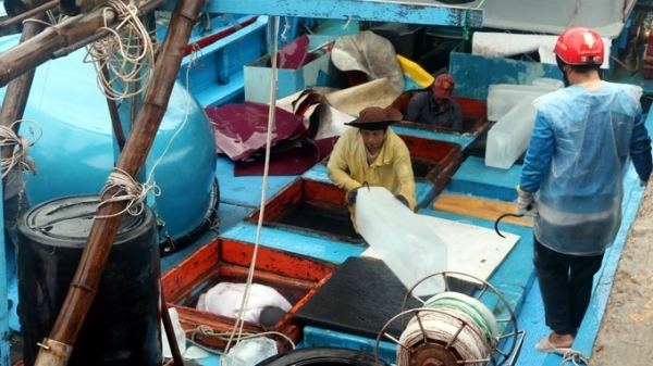 Khánh Hòa ra quân khai thác hải sản