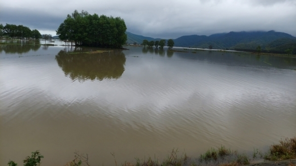 Phú Yên trên 4.000 ha lúa đông xuân bị ngập úng