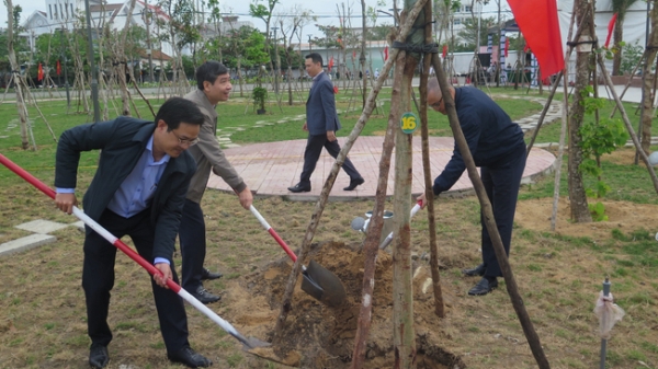 Phú Yên phấn đấu trồng 3,7 triệu cây xanh