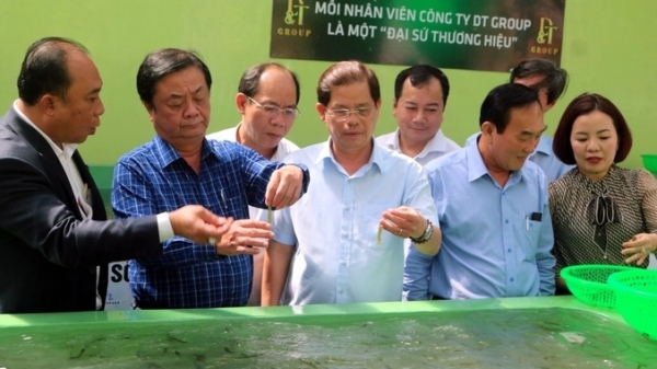 Bộ trưởng Lê Minh Hoan thăm doanh nghiệp sản xuất rong nho lớn nhất Việt Nam